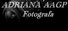 AAGP PHOTOS E EVENTOS